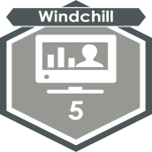5th  Windchill Perf. Advisor