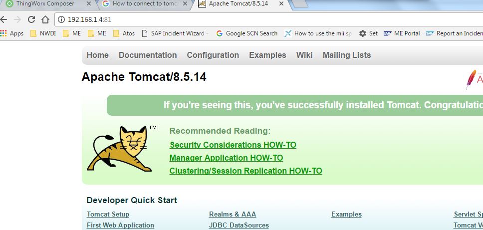 Tomcat_Service_From_Laptop.JPG