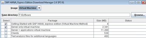 new sap download manager configuration
