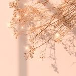 MZ_254