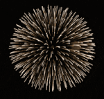 StephenW_1-1720010151261.gif