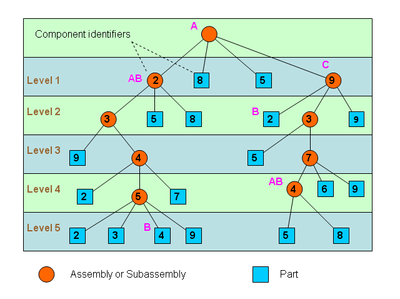 Comp Path.PNG