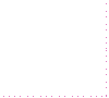 4-Hare.gif