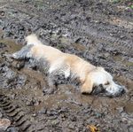 Profile (DD_5002563)