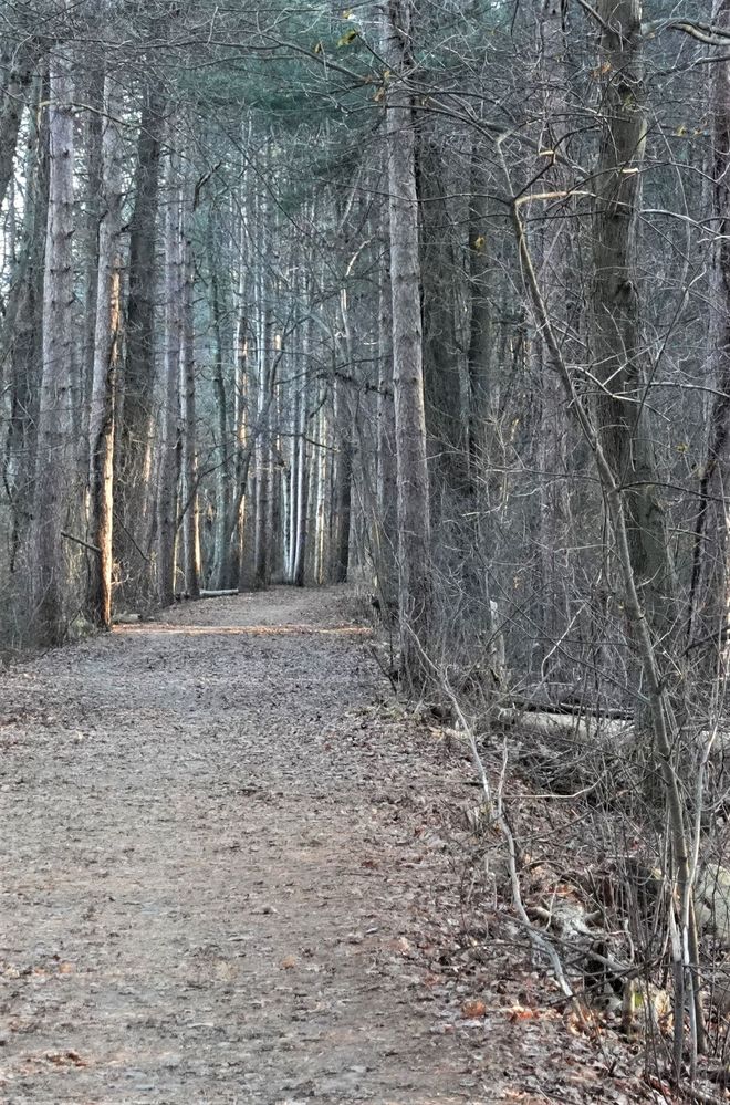 path.jpg