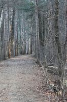 path.jpg