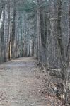 path.jpg