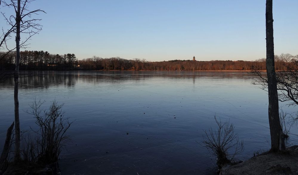laketower2.jpg