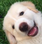 Profile (MG_14383323)