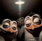 Profile (LT_14434890)