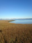 charlestonscape.jpg