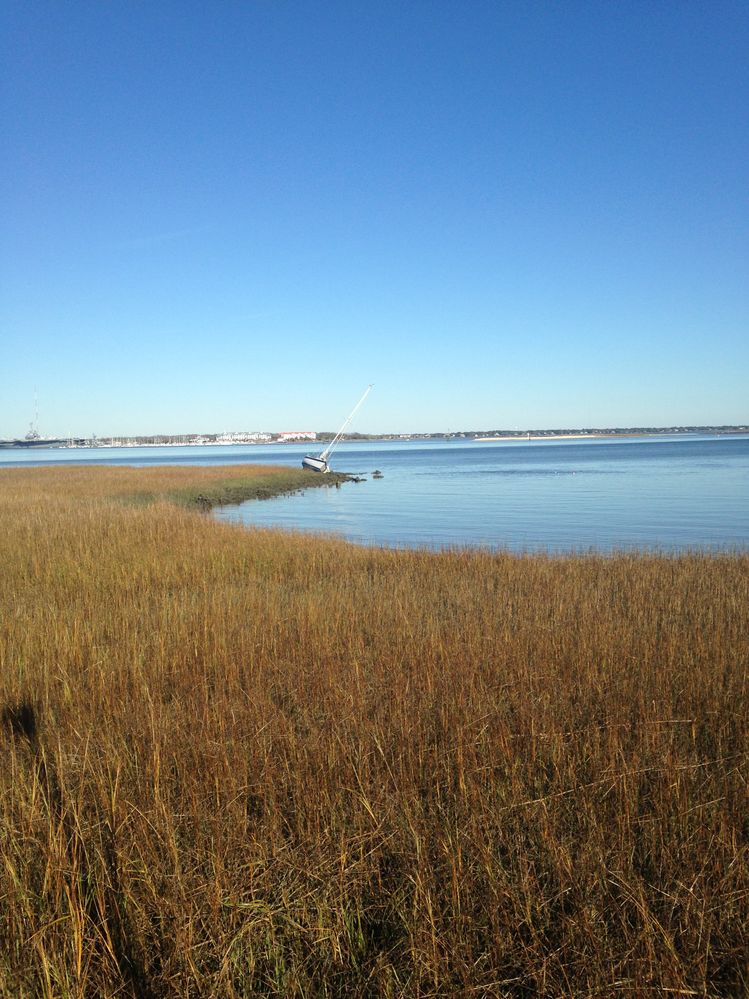 charlestonscape.jpg