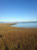 charlestonscape.jpg