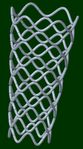 stent.jpg