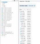 Assembly before the missing instance was recreated