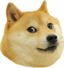 Doge-head.png
