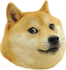 Doge-head-avatar.png