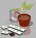 Public (tbrotherhood)