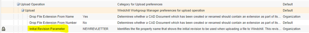 Initial Revision Parameter.PNG