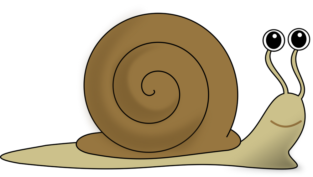 Snail.png