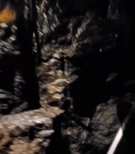 Inside the Cave!