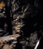 Inside the Cave!