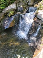 Crystal Clear Pool