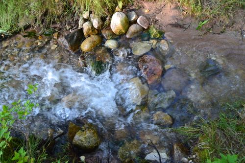 Babbling Stream