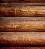 brevna.png