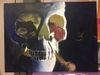 skull.jpg
