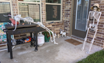 StephenW_0-1664194835906.png
