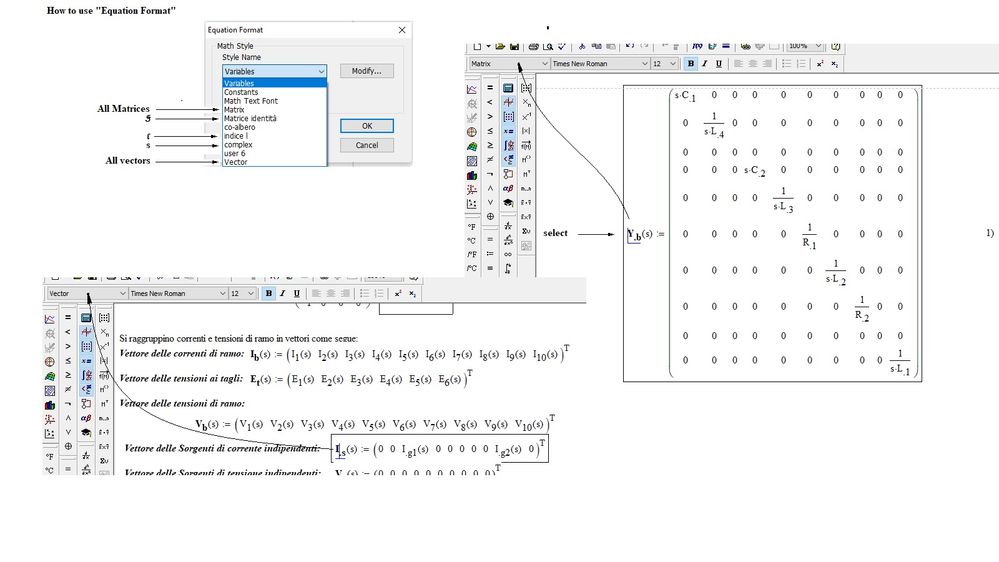 How to use -Equation Format-.jpg
