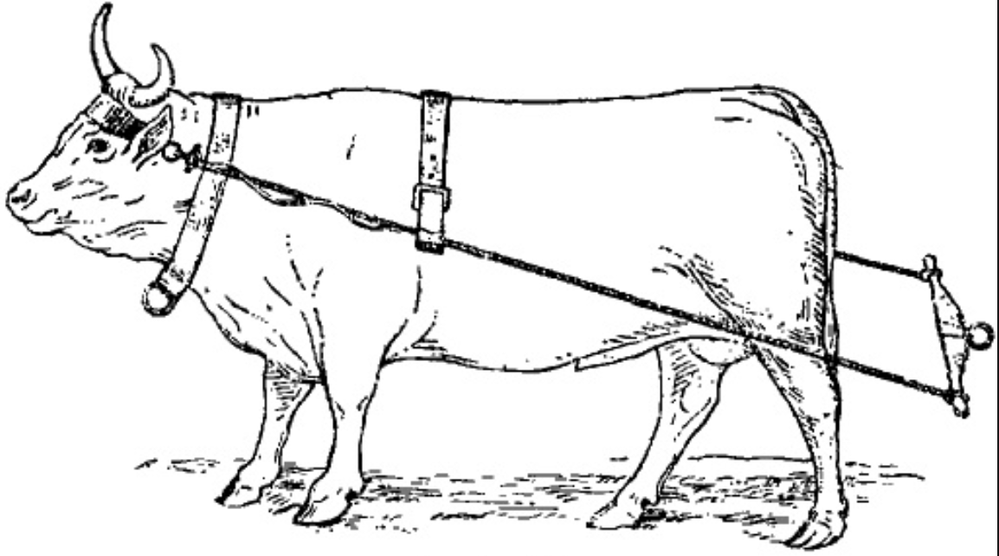 ox.png