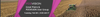 GP_Banner_revised.png