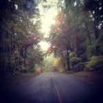 Nav_Arch17